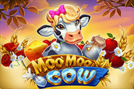 Moo Moo Cow